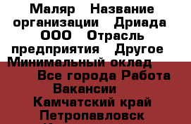 Маляр › Название организации ­ Дриада, ООО › Отрасль предприятия ­ Другое › Минимальный оклад ­ 18 000 - Все города Работа » Вакансии   . Камчатский край,Петропавловск-Камчатский г.